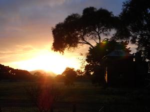 Grampians Historic Homestead B&B