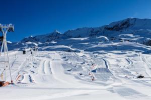 Hotels Le Pic Blanc : photos des chambres