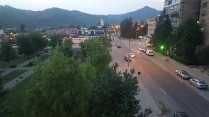 Studio with Mountain View room in Dream Studio Petrosani