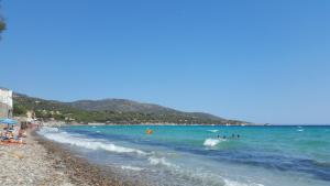 Artistika Golden Apartment img63