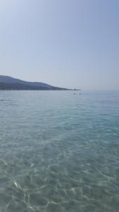 Artistika Golden Apartment img65