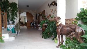 La Rotonde 77 photo 12