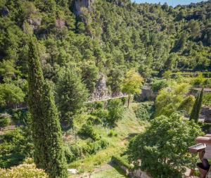 Maisons de vacances Gite du Chant des Oiseaux : photos des chambres