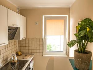 Apartament Plaza48