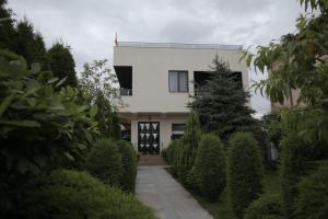Cabană Nut Năvodari România