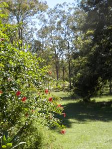 Wondai Hideaway Apartment