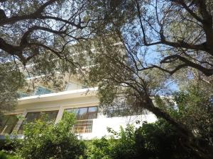 Florida Blue Bay Resort & Spa