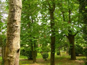 Domaine du Paraïs B&B