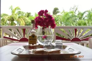 Nid tropical pour deux - 圣弗朗索瓦