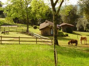 Lodges Hameau Du Sentier Des Sources : photos des chambres