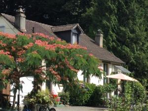 Penzion B&B les trois fenêtres Sourdeval Francie