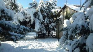 Farmhouse in the mount Parnassos Parnassos Greece