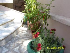 Spacious Apartment Korinthia Greece