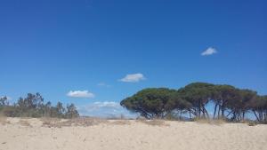 Don Diego Apartment Orosei img20