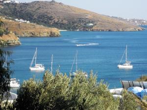 Blue Dolphin Andros Greece