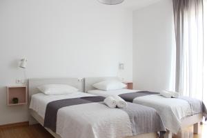 Apartment Luce