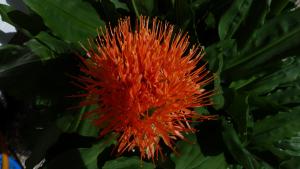 Ferienwohnung Brandegg