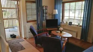 Levin Alppi 3 A 1 Apartment - 列维