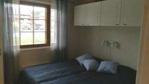 Levin Alppi 3 A 1 Apartment