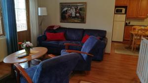 Levin Alppi 3 A 1 Apartment