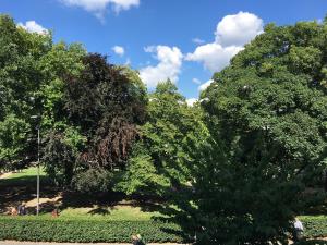 Park Apartaments