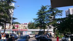 Comfortable apartment in Batumi