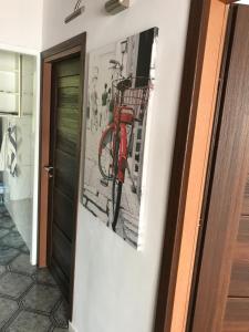 Apartament Rona