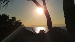 Casa Vacanze " IS MERIS " img32