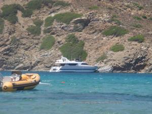 Villa Pergola Andros Andros Greece