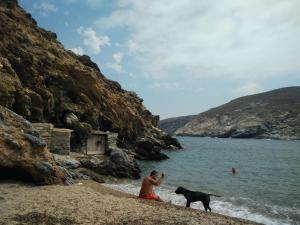 Villa Pergola Andros Andros Greece