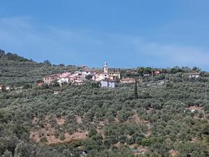 Piccolo rifugio nel Verde