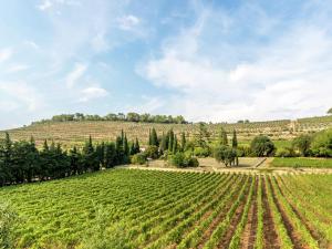 Villas Villa in Saint-Antonin with Private Pool : photos des chambres