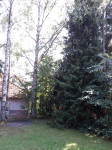 Apartmani U Borovoj Šumi