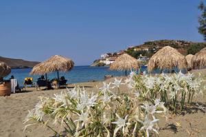 Cavo Perlevos Studios Kea Greece