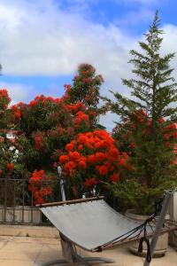 Cosy Sintra