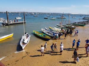 Maisons de vacances Salamandre et Hippocampe : photos des chambres