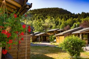 Campings camping du haut des bluches : photos des chambres