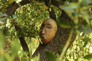 Maisons d'hotes Les Jardins de Baracane : photos des chambres