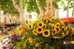 Maisons d'hotes Les Jardins de Baracane : photos des chambres