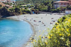 Appartements Regina's Banyuls - Spatious apartment next to the beach : photos des chambres