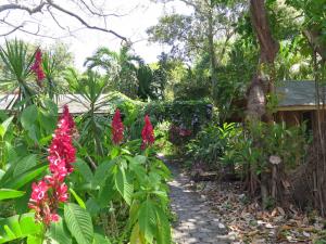 Hotel Chillies and Native Sons Diving