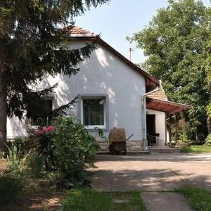 Borostyán 20 Vendégház - 沙罗什保陶克