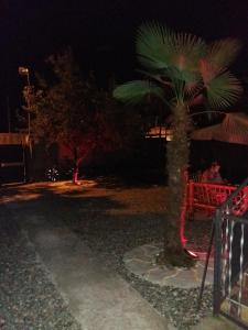 Shalva Apartment