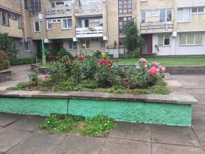 Apartmentai Baltoji Ramune