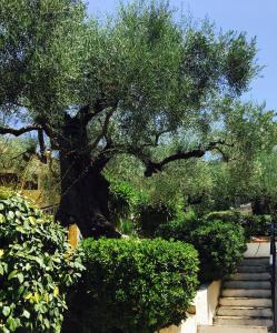 Lofos Strani Zakynthos Greece