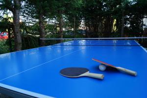 Bursztyn 2 - pokoje na parterze - rowery - plac zabaw - tenis stołowy