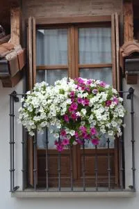 Apartamentos La Buhardilla - Zorraquín