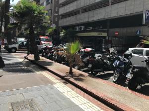 Estudio Paseo Las Canteras