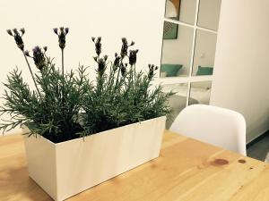 Estudio Paseo Las Canteras