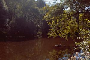 Camping Du Pont De St Gal